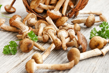 Fototapeta premium Fresh mushrooms
