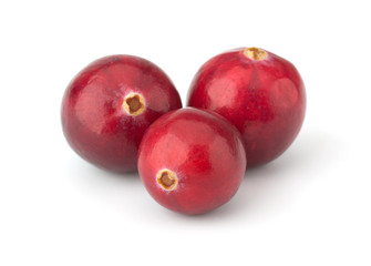 Cranberry isolated on white background closeup