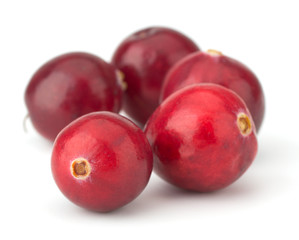 Cranberry isolated on white background closeup