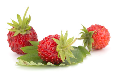 Wild strawberry isolated on white background