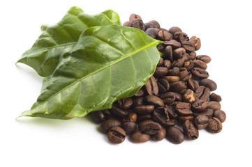 coffee grains and leaves