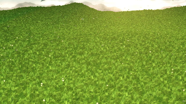 Flight over the island of butterflies HD