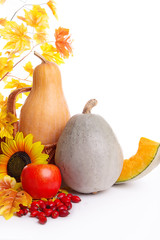 Autumn fruits and vegetables in basket with leaves