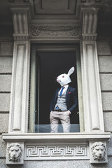 rabbit mask man appeared at the window