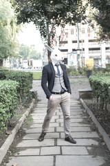 rabbit mask man in the city