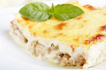 Cannelloni