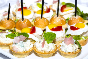 canape with meat seafood and vegetables on a white background