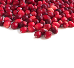 Ripe cranberries on white background
