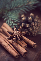 Christmas herbs: star anise and cinnamon sticks, close-up
