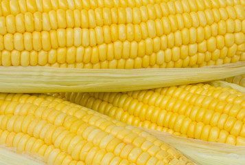 fresh corn