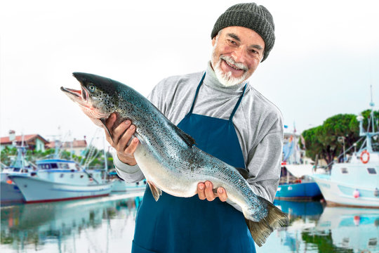 Fisherman holding a big atlantic salmon fish