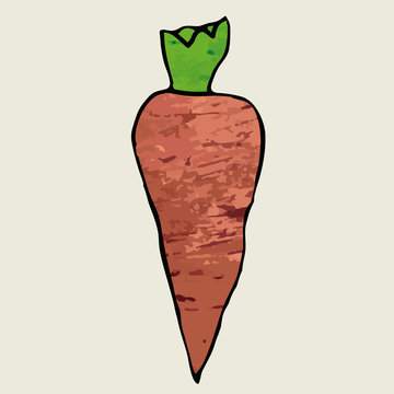 Carrot icon. Vector art
