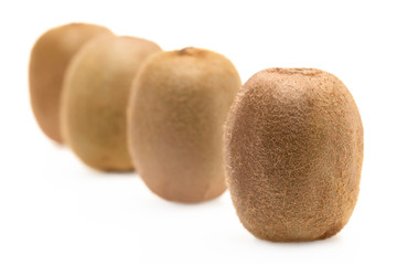 Kiwi in row