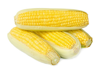 fresh corn.