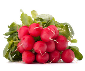 Small garden radish with leaves