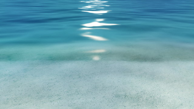 Paradise water - loop