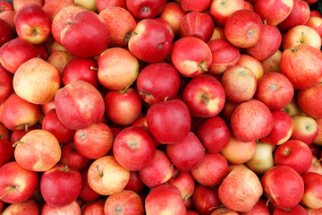 Apples