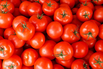 Red tomatoes