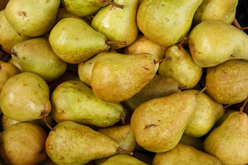 Green ripe pears
