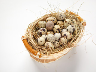 Naklejka na ściany i meble Basket of quail eggs