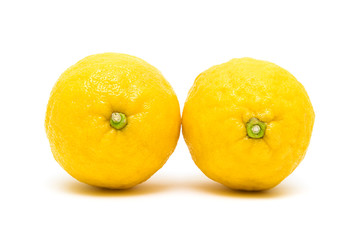 Two lemon closeup on white background