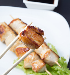 Chicken shashlik on white plate with salad and soy sauce