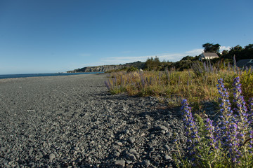 Obraz premium Strand in Neuseeland