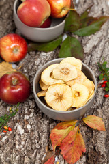 Autumn. Dried apples