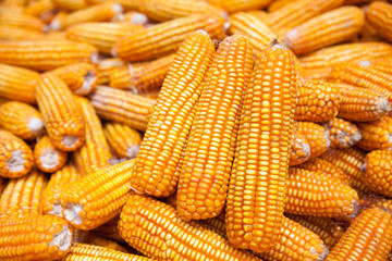 Dried corn