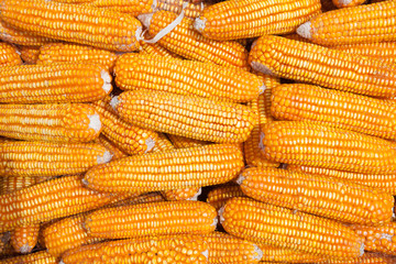 Dried corn