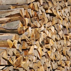 Holzstapel - stack of wood 43