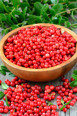 Cowberries in brown bowl