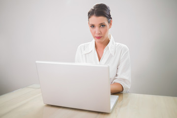 Serious charming businesswoman typing on laptop