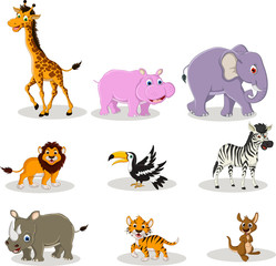 vector illustration of cute animal wildlife cartoon collection