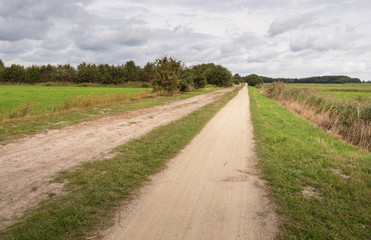 Infinitely long sandy road in a rural landscape