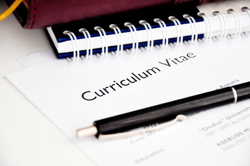curriculum vitae or resume - 57089542