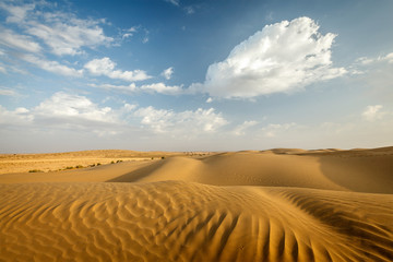 Dunes of Thar Desert, Rajasthan, India