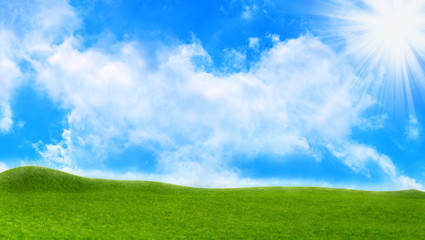 Fototapeta premium nature