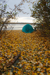 Green tent on shore of Talkeetna river with yellow fallen leaves