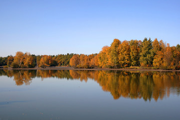 Golden autumn on the large  lake