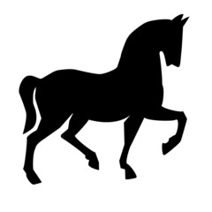 silhouette of horse on a white background