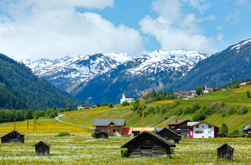 Summer Alpine country view