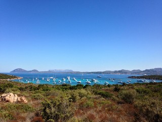 Sardegna