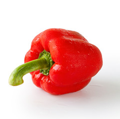 bell pepper on white background