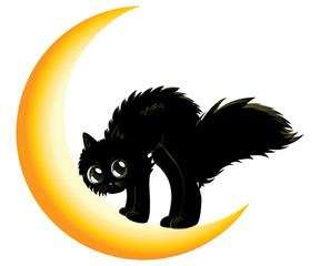 Black cat on moon