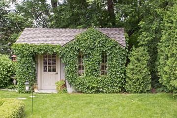 Garden house covered with vines