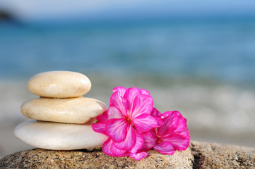 Fototapeta na wymiar Zen meditation spa relaxation background