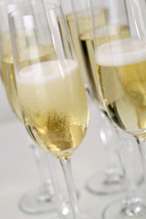 Sektempfang mit Sekt oder Champagner