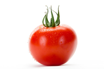 frische Tomate