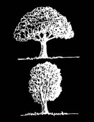 Vector trees with leaves   black silhouettes
